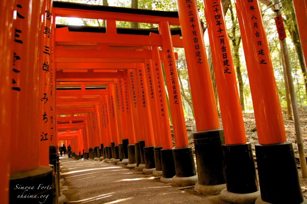 Percorso di torii rossi a Fushimi Inari