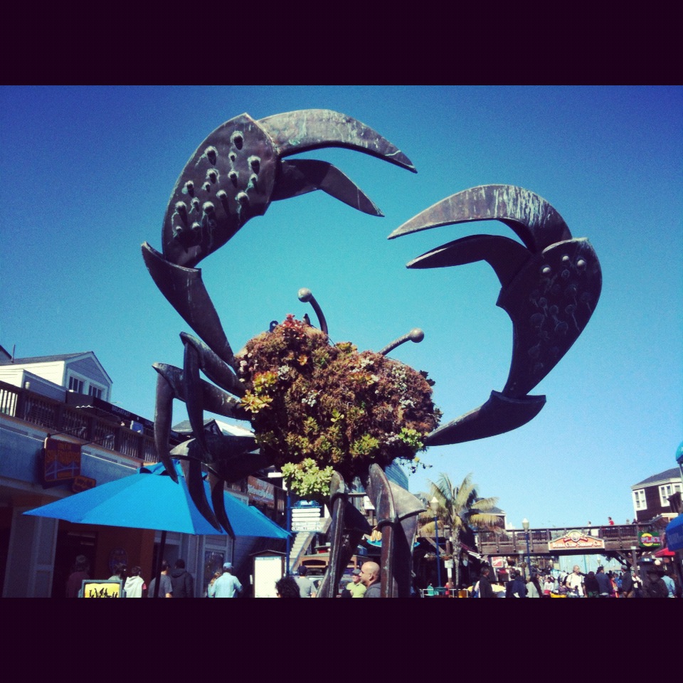 San Francisco toccata e fuga. Cosa vedere in soli 3 giorni